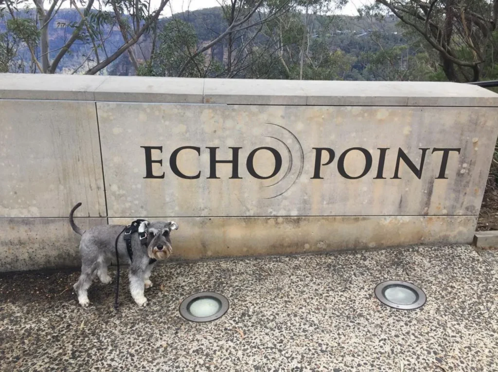 Echo Point