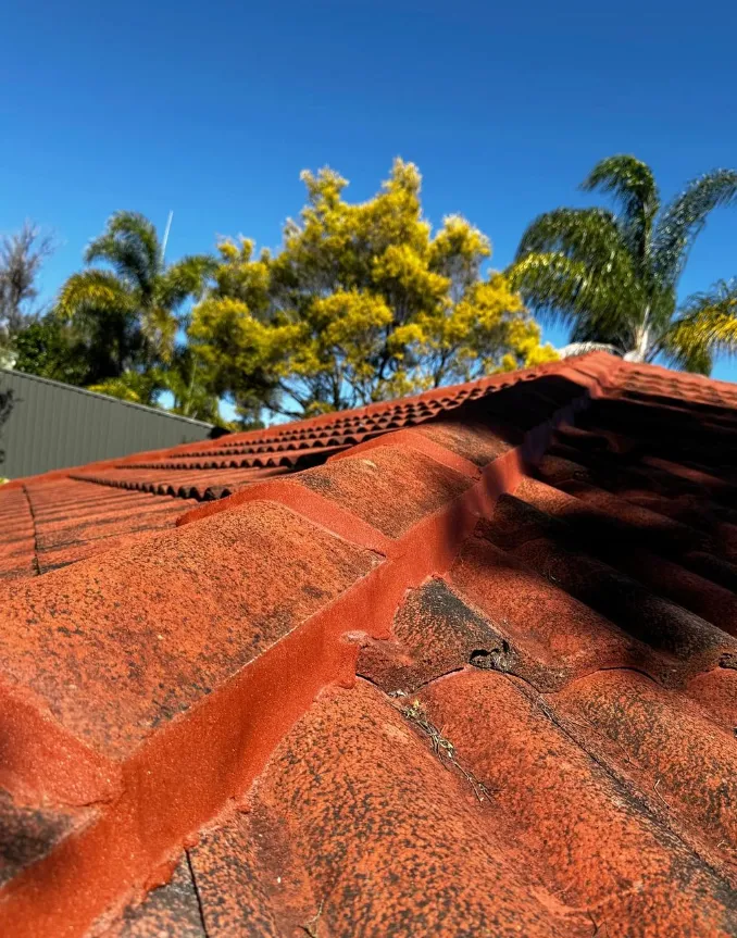 Eco-Friendly Roof Cleaning Solutions