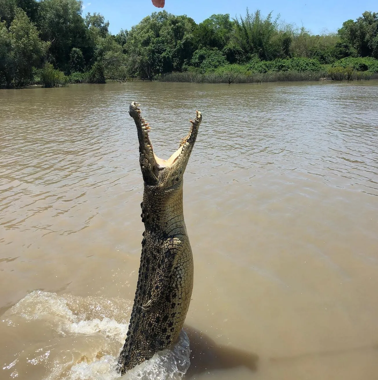 How to Reach the Jumping Crocodiles Cruise in Darwin