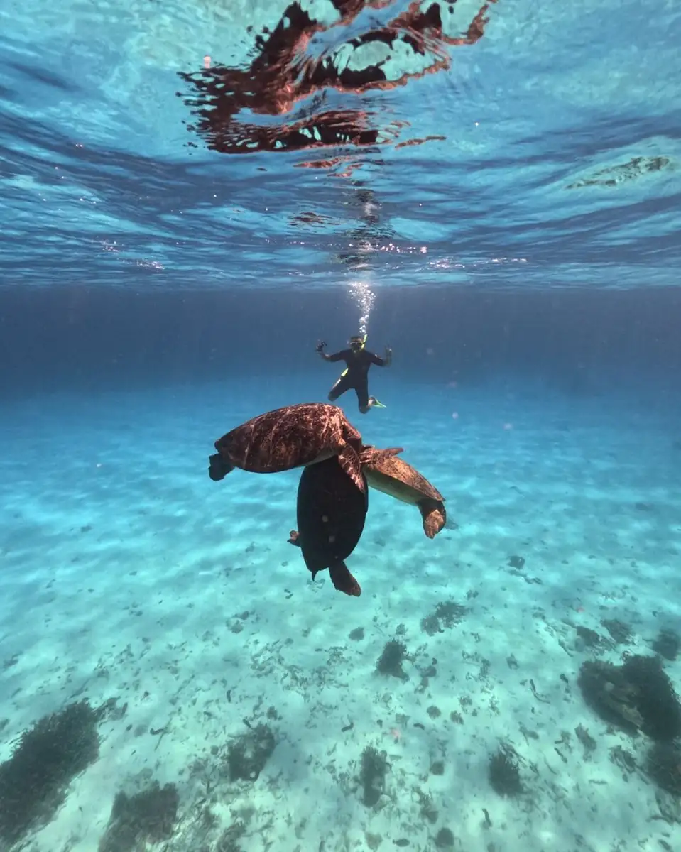 What It Feels Like to Be In The Water