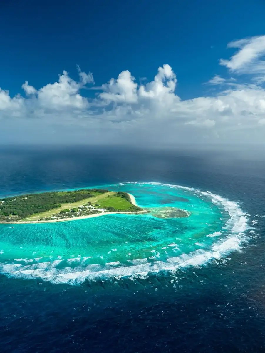 The Manta Ray Calendar: When to Swim with the Giants at Lady Elliot Island