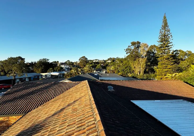 Why Eco-Friendly Roof Cleaning