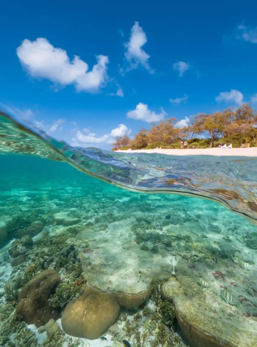 Why This Coral Cay Is A Real Standout