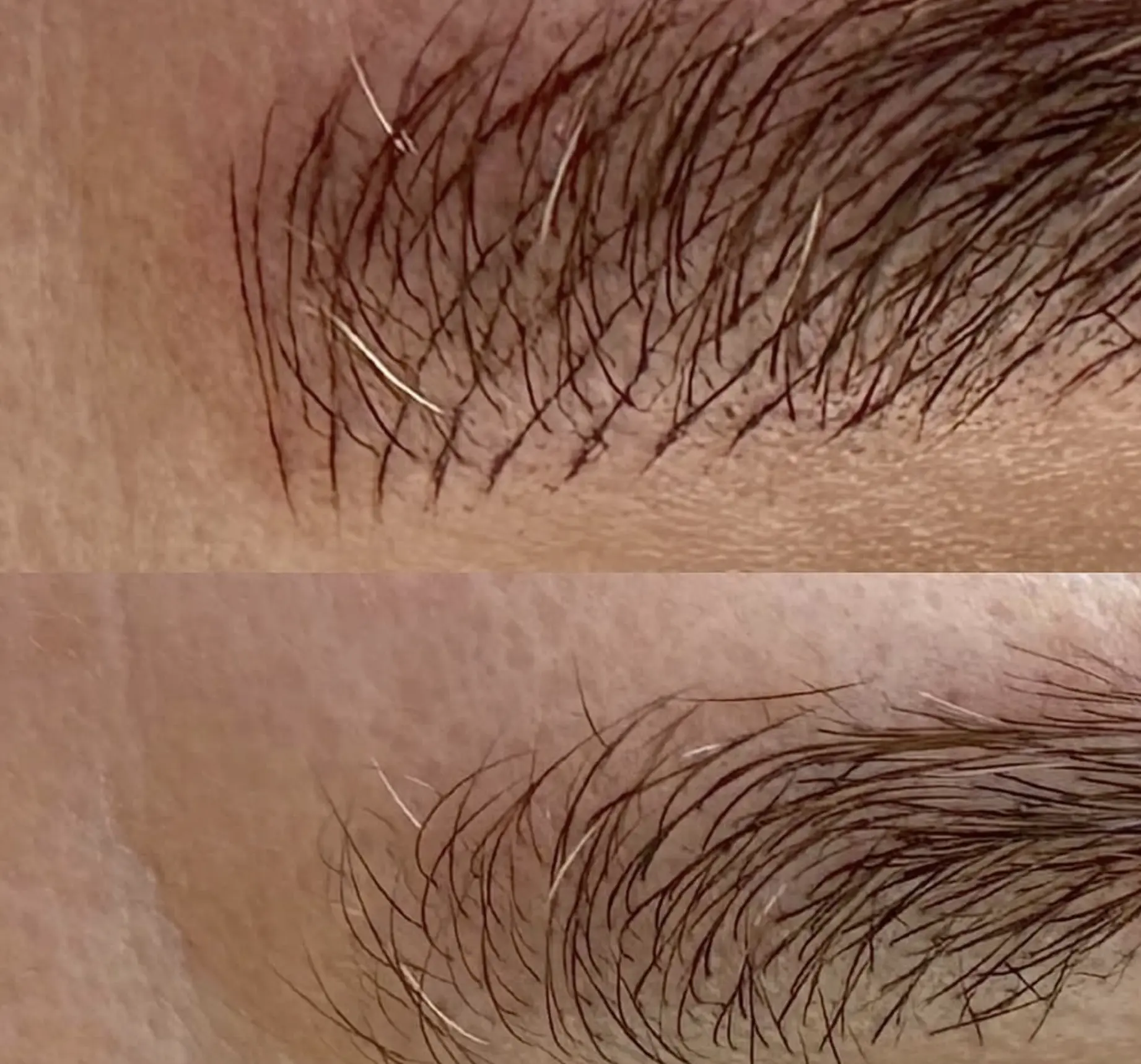 brow hair growth after microblading