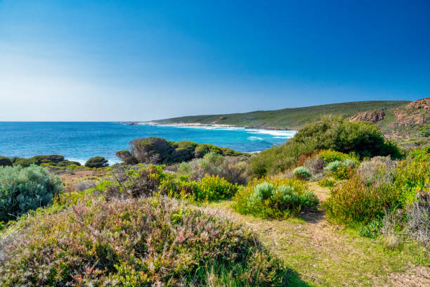 Discover the Unforgettable Beauty of Perth and Margaret River: A 5-Day Itinerary